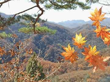 三部门：严格治理整顿圈占土地、乱占滥用耕地等问题