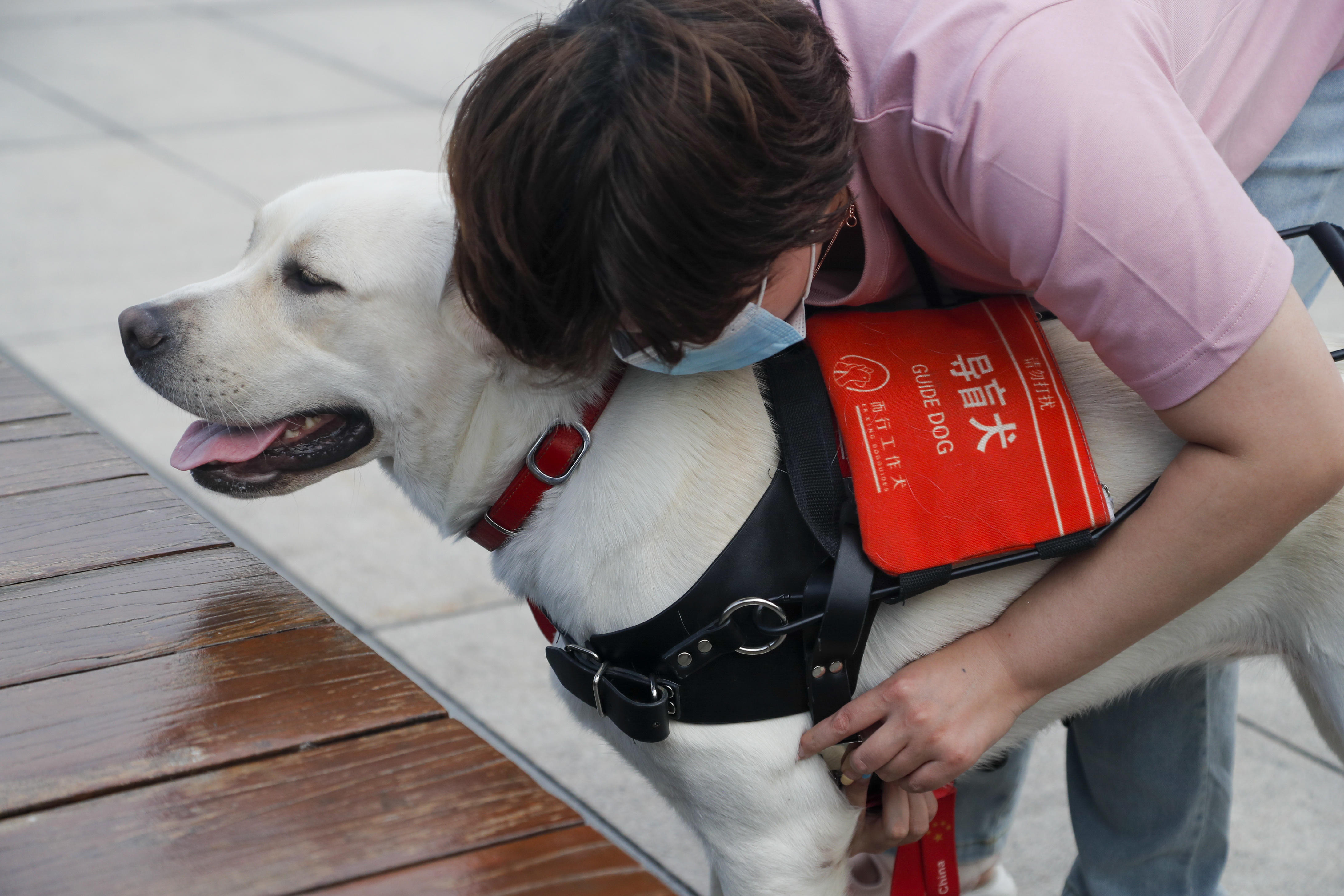 残联回应导盲犬陪同就医被拦 认知偏差引关注