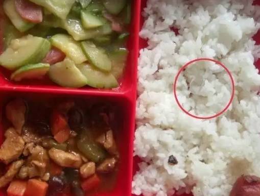 学校给学生吃剩菜？市政府被约谈 食堂管理漏洞曝光