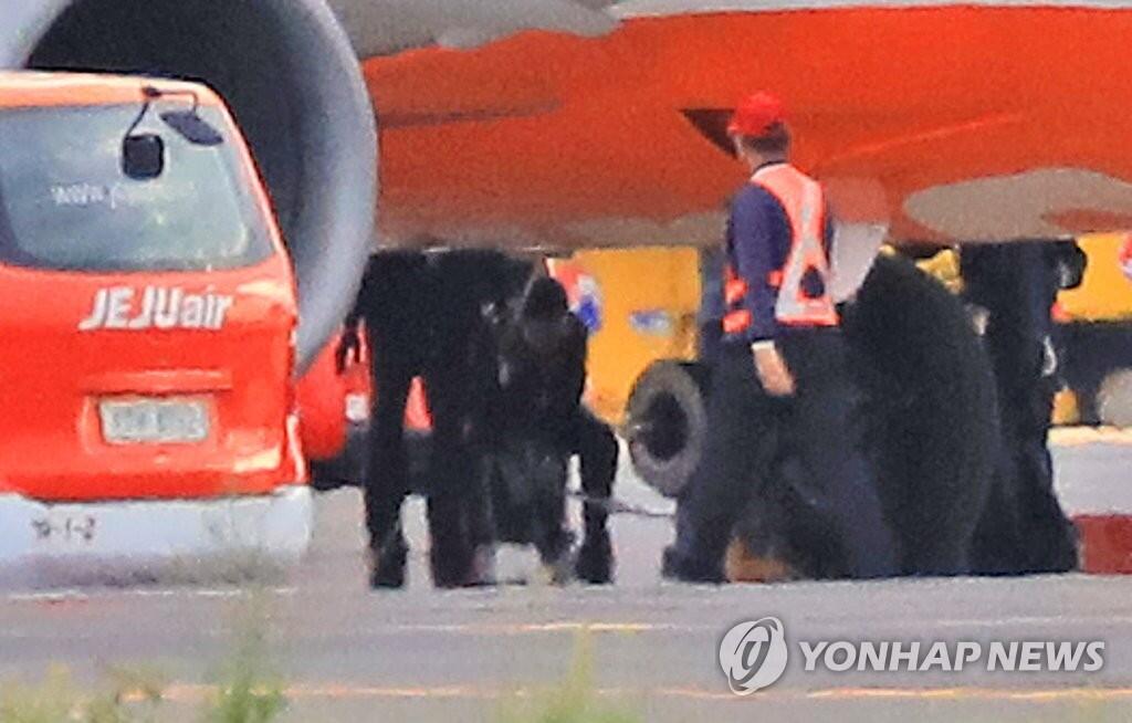 韩国旅游业受到重创 济州航空失事加剧冲击